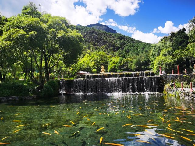 丽江玉水寨风景区旅行图片 1