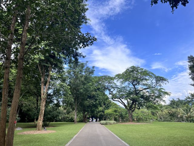 西双版纳热带植物园-百香园旅行图片 1