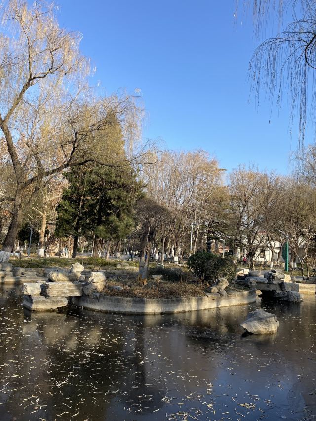 陶然亭旅行图片 2