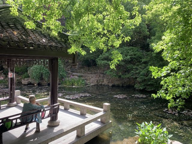 蓬莱公园旅行图片 14
