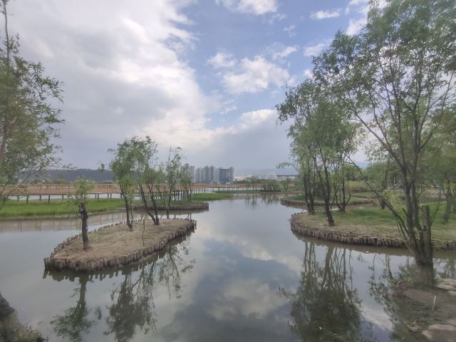 洱海月湿地公园旅行图片 10