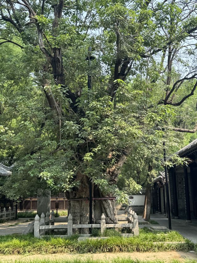 范公亭公园旅行图片 5