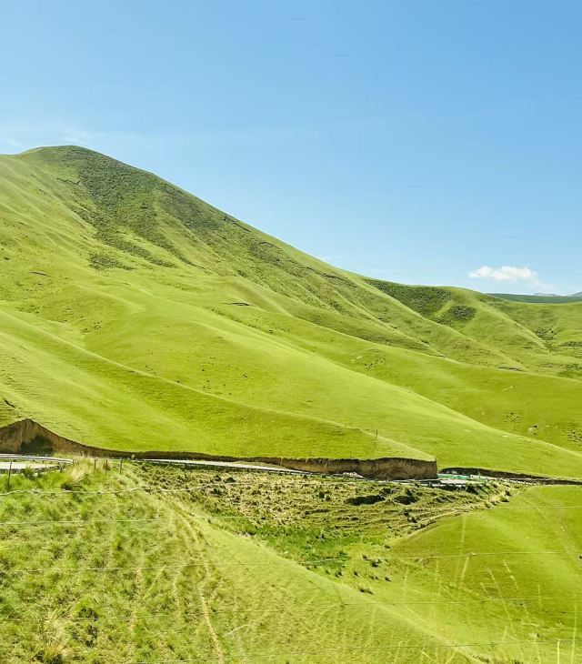 南山观景台旅行图片