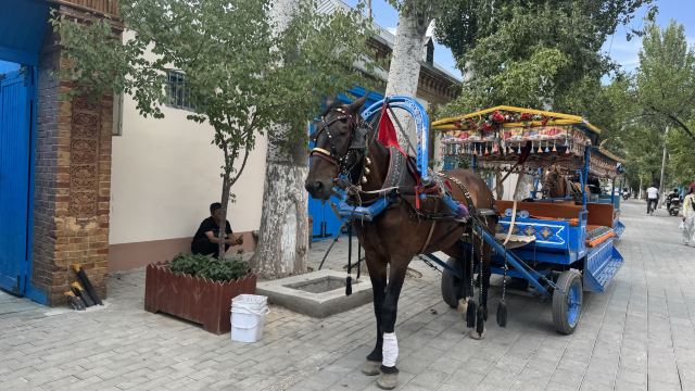 伊犁老城文化旅游区旅行图片 2