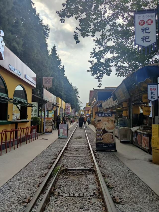 麻园米轨公园旅行图片 4
