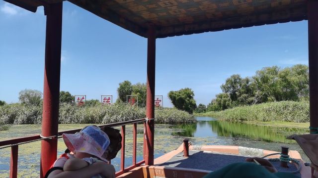 大纵湖旅游度假区旅行图片 7