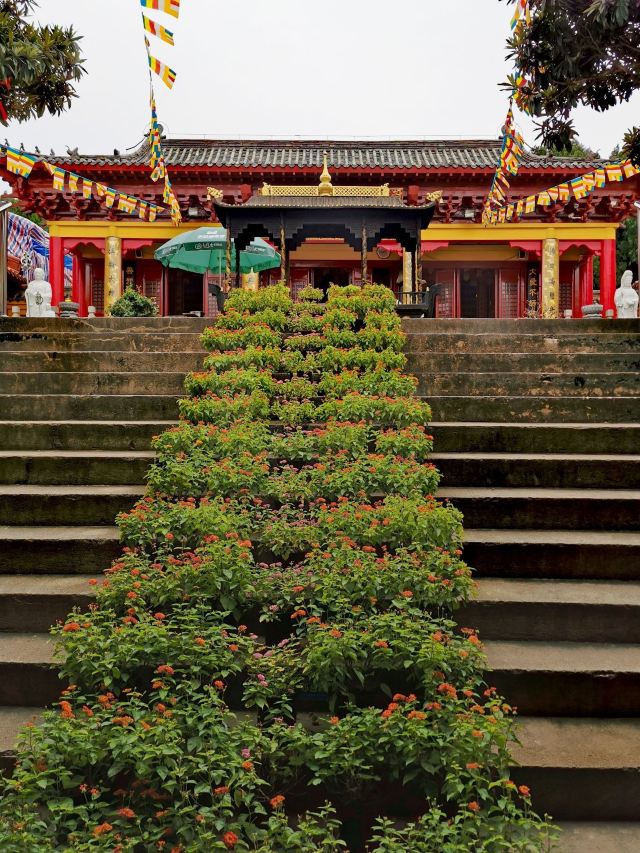 泰山寺旅行图片 12
