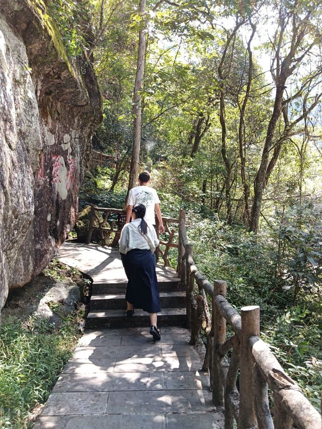 炎陵县神农谷国家森林公园旅行图片 2
