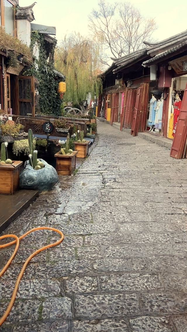 丽江古城旅行图片 1