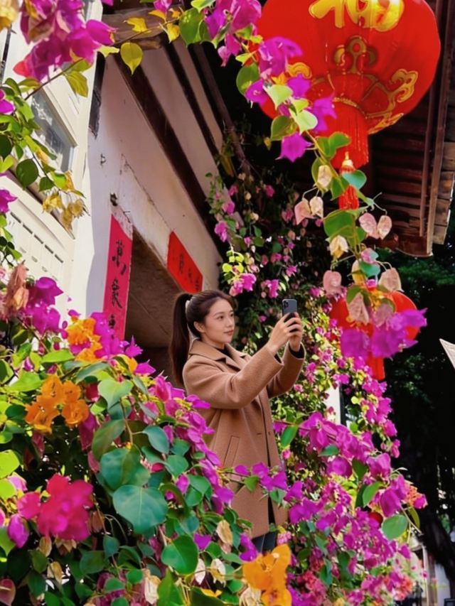 泉州古城旅行图片 10