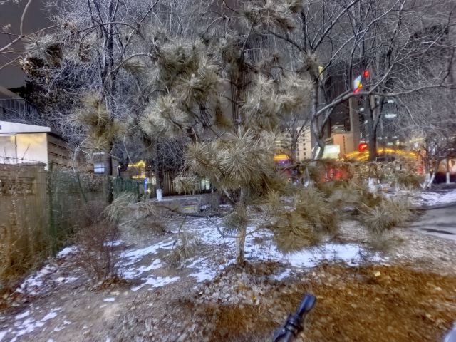 大西边门公园旅行图片 2
