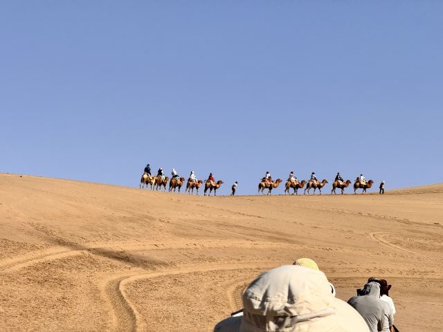 鸣沙山月牙泉旅行图片 2