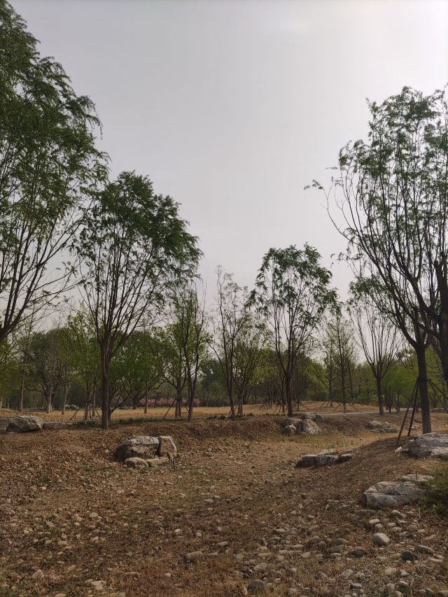 南苑森林湿地公园旅行图片 13
