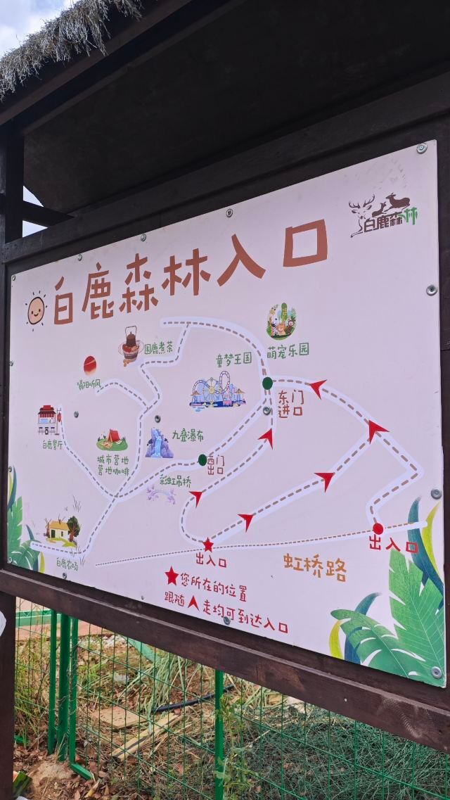 白鹿森林旅行图片 9
