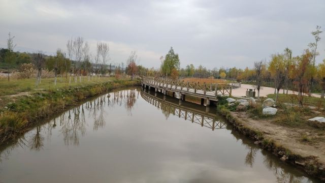 平安心湿地公园旅行图片 4