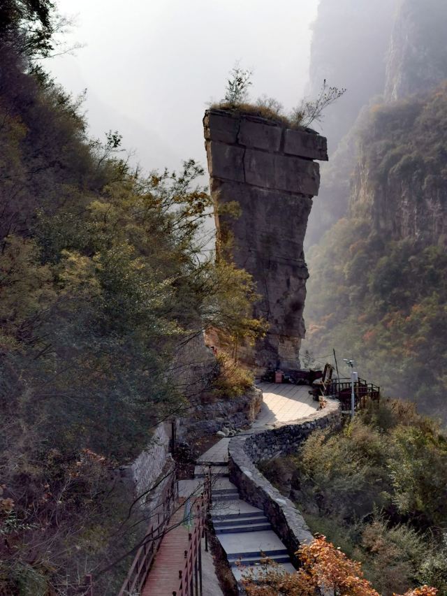 璧山景区旅行图片 10
