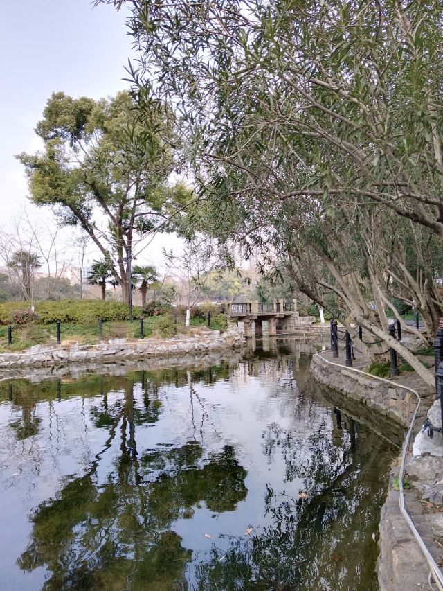 上海鲁迅公园旅行图片 15