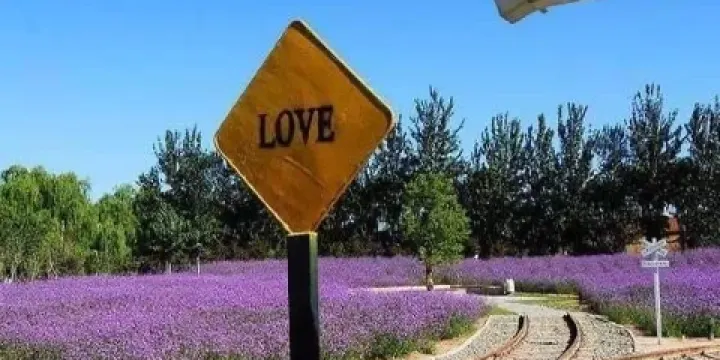 北京夢幻紫海香草莊園