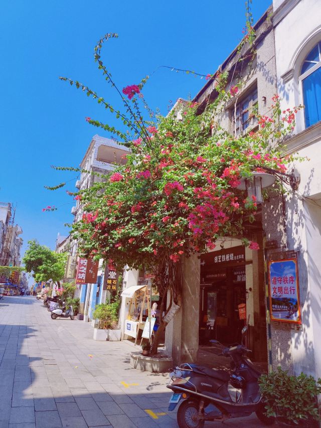 北海老街旅行图片 3
