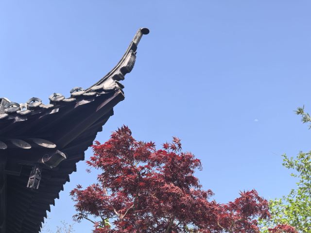 骆岗公园旅行图片 8