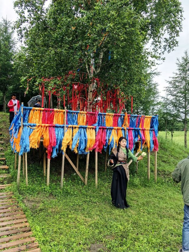 乌兰布统达瓦鄂温克驯鹿部落旅行图片 2