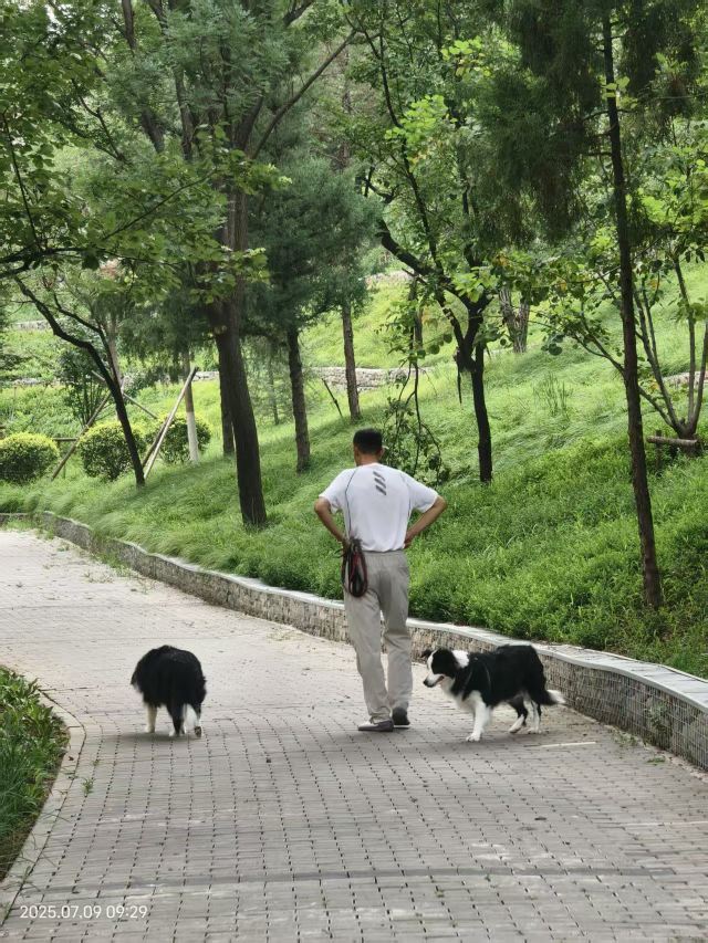 老山城市休闲公园旅行图片 14