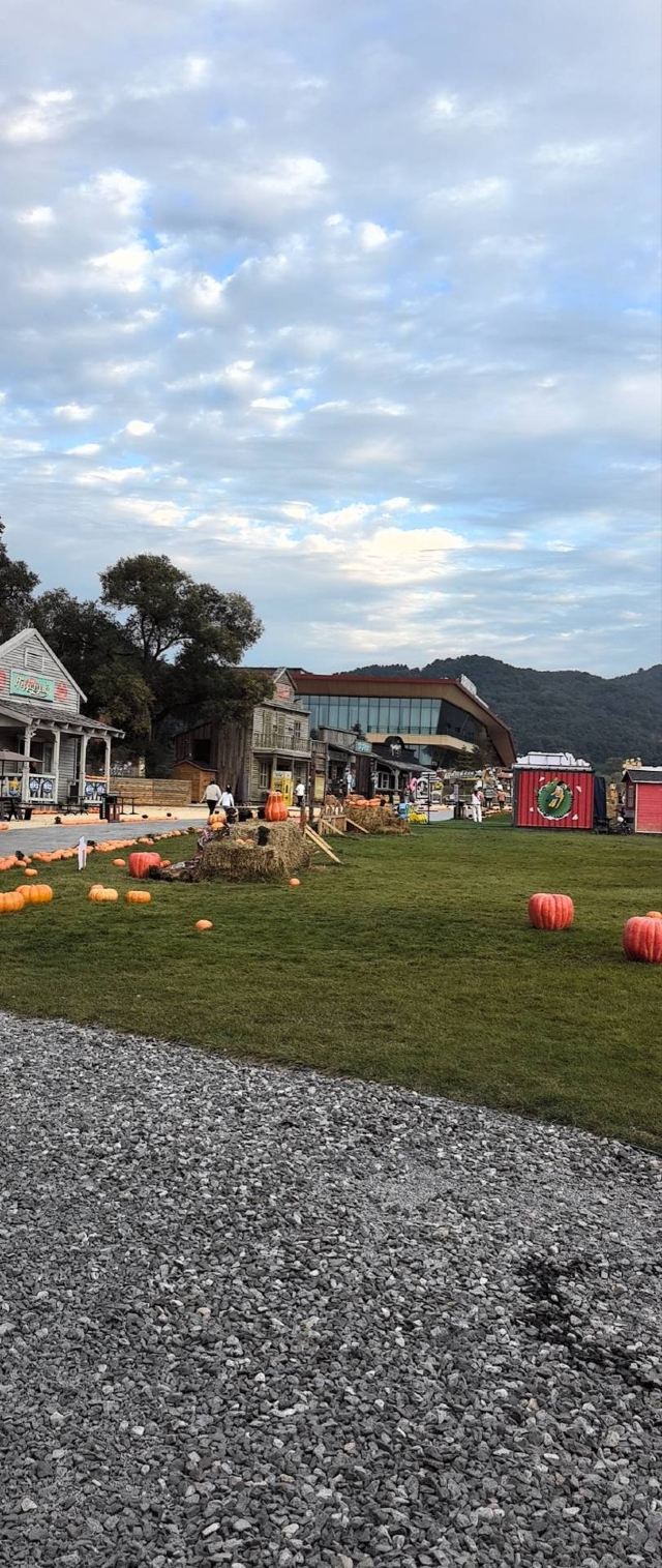 东北亚云端草原(暂停开放)旅行图片 1