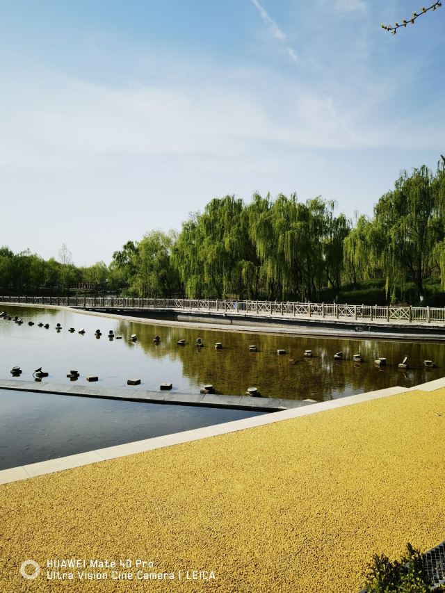 西安浐灞国家湿地公园旅行图片 5
