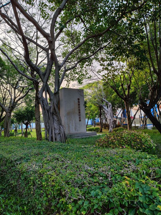 海湾公园旅行图片 2