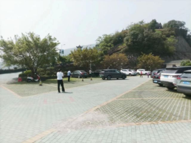 云顶草上世界旅行图片 1