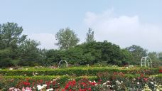国家植物园(原北京植物园)-北京-文旅之友