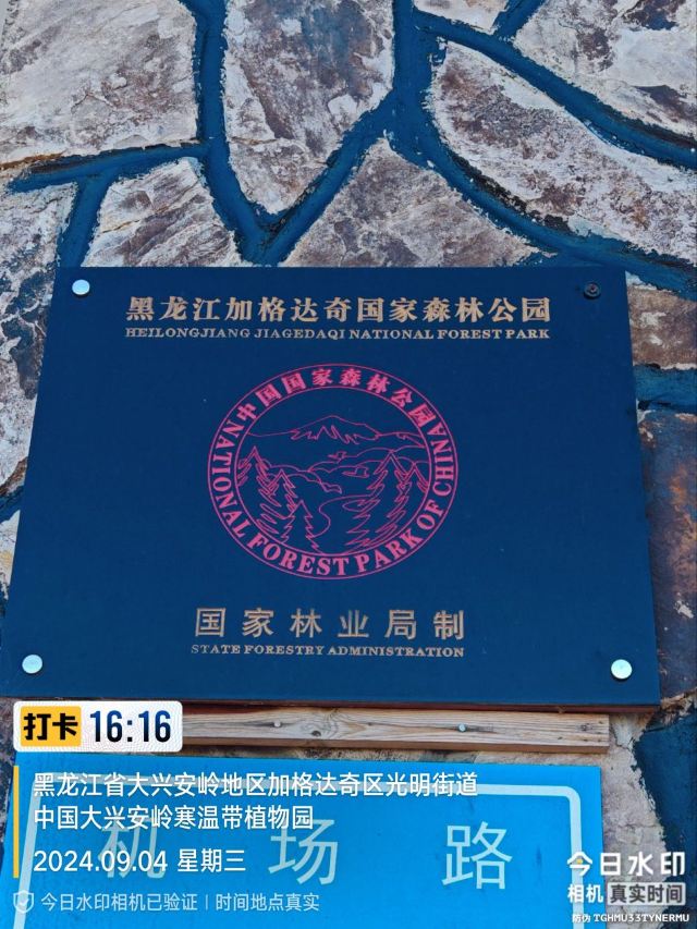 中国大兴安岭寒温带植物园(暂停开放)旅行图片 2