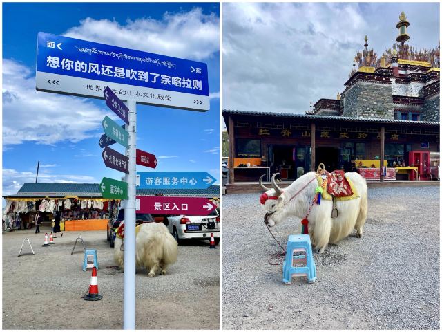 宗喀拉则景区旅行图片 9