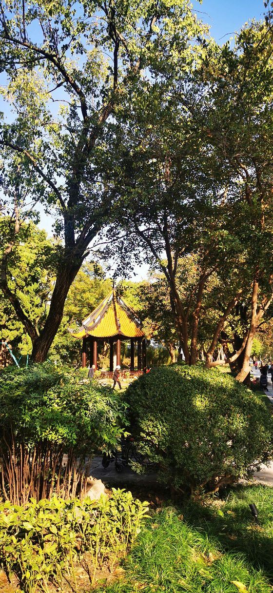 漕溪公园旅行图片 14