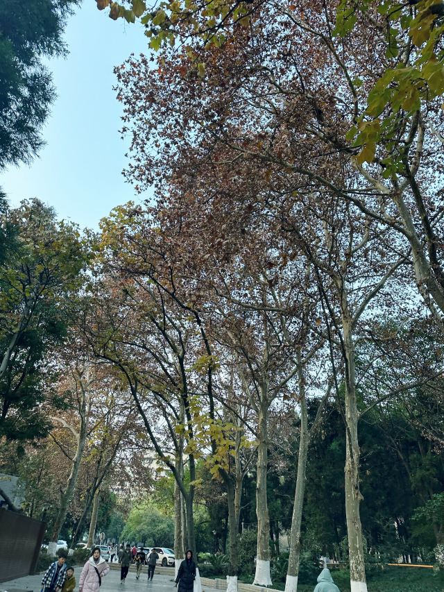 吉贵路社区公园旅行图片 1