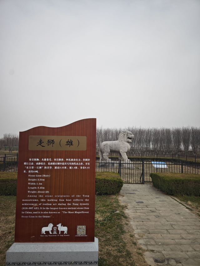 唐顺陵-遗址公园旅行图片 7