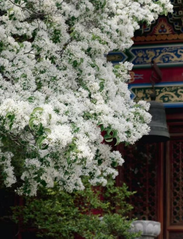 孔望山旅行图片 1