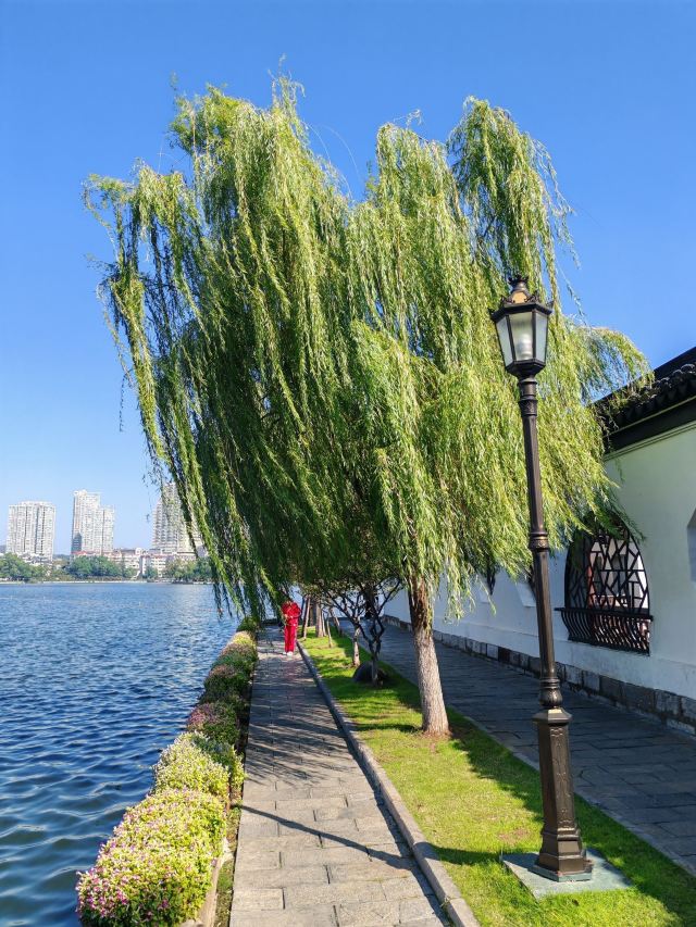 莫愁湖公园旅行图片 2