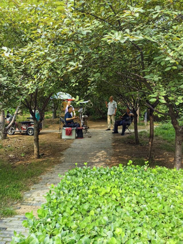 凤凰山公园旅行图片 3