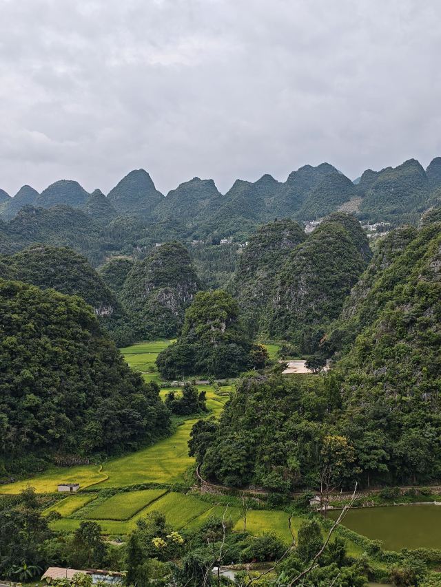 万峰湖红椿船舶旅游乘船区旅行图片 3