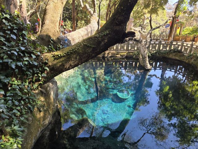 蝴蝶泉旅行图片 2