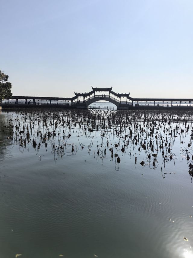 锦溪古镇旅行图片 4
