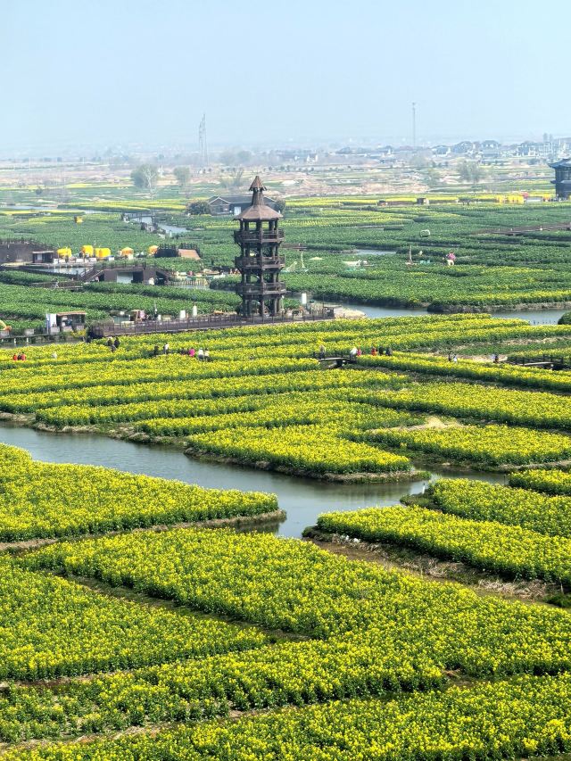 千垛景区旅行图片 5