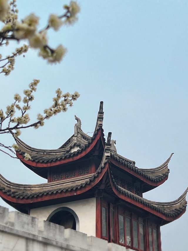 梅园公园旅行图片 4