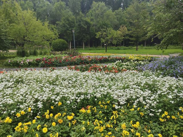 长春市百花园旅行图片 3
