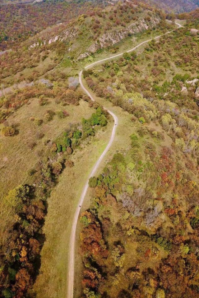 富县秦直道景区旅行图片 1