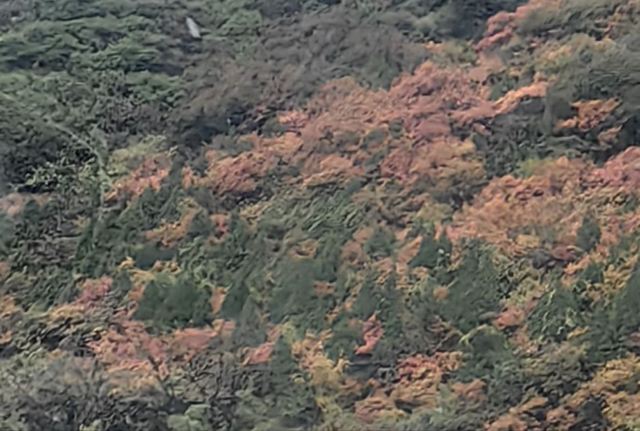 秦岭风景区旅行图片 3