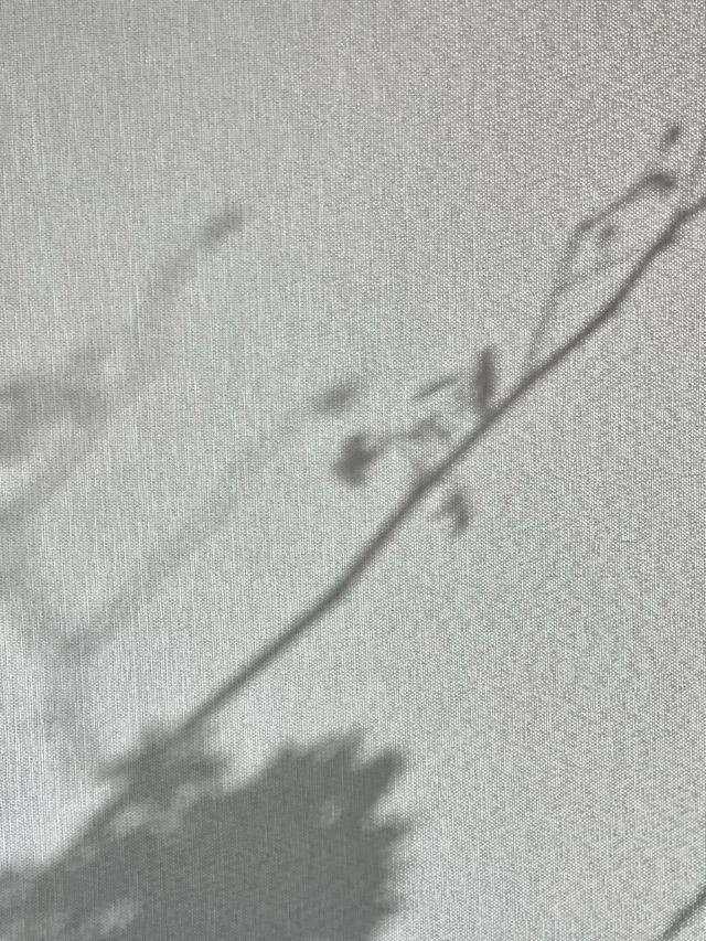 景德镇陶源谷•三宝旅游度假区·三宝蓬艺术聚落旅行图片 1