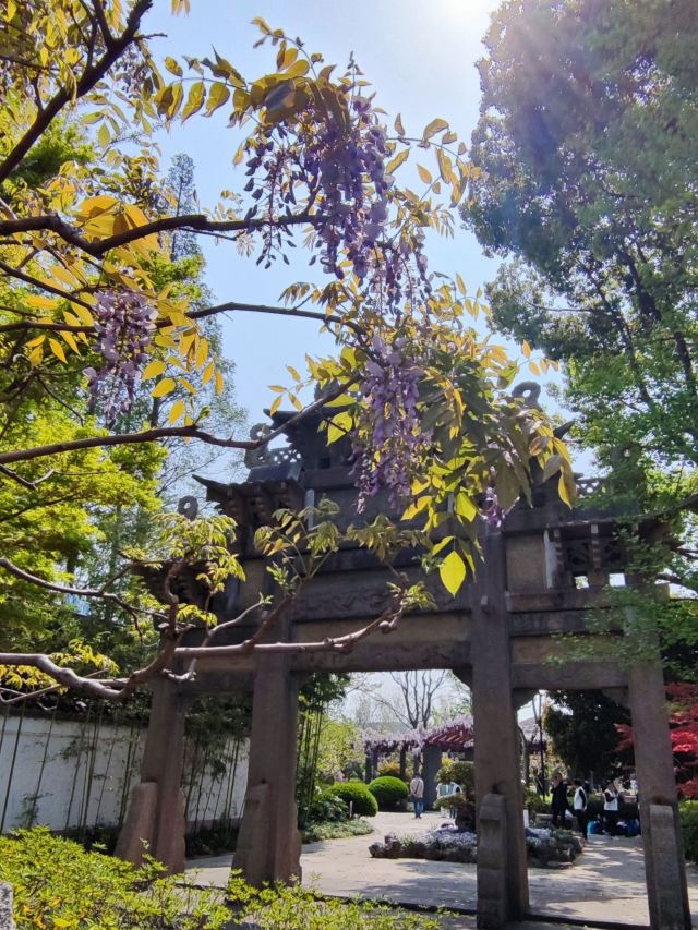 古藤园旅行图片 8