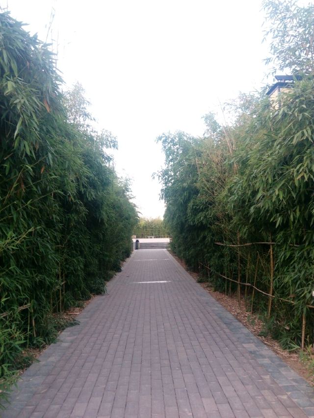 温泉河湿地公园旅行图片 4